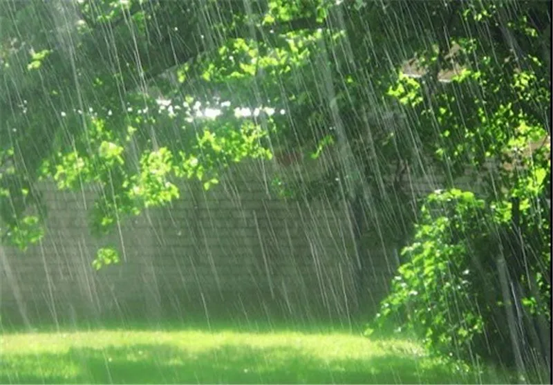 بارش باران در نوار ساحلی کشور