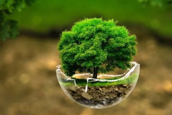 ۲۰۲۰ چه بر سر محیط‌زیست آمد؟
