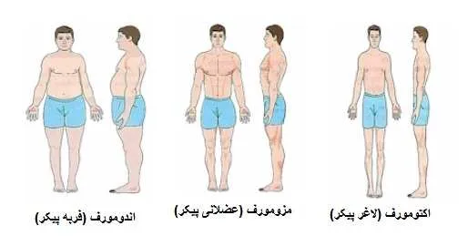  پیش بینی شخصیت از روی ظاهر بدن