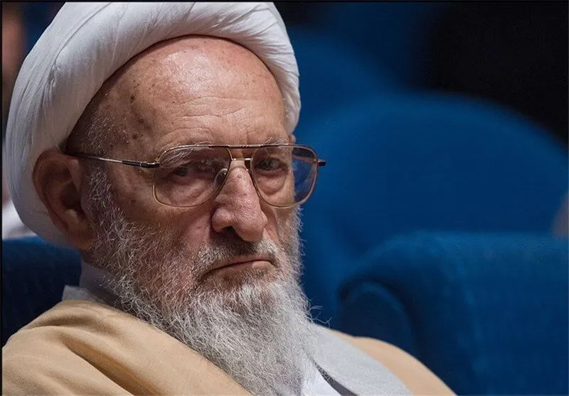 پیکر علامه حسن‌ زاده در زادگاهش آرام گرفت