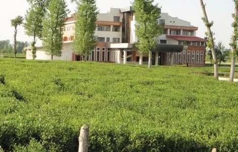 طمع زمین‌خوار‌ها برای بی‌سند‌ها