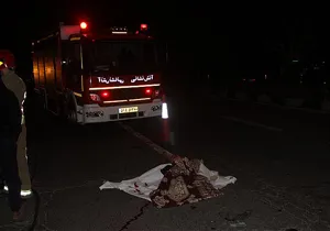 کشف جسد در وسط بزرگراه همت