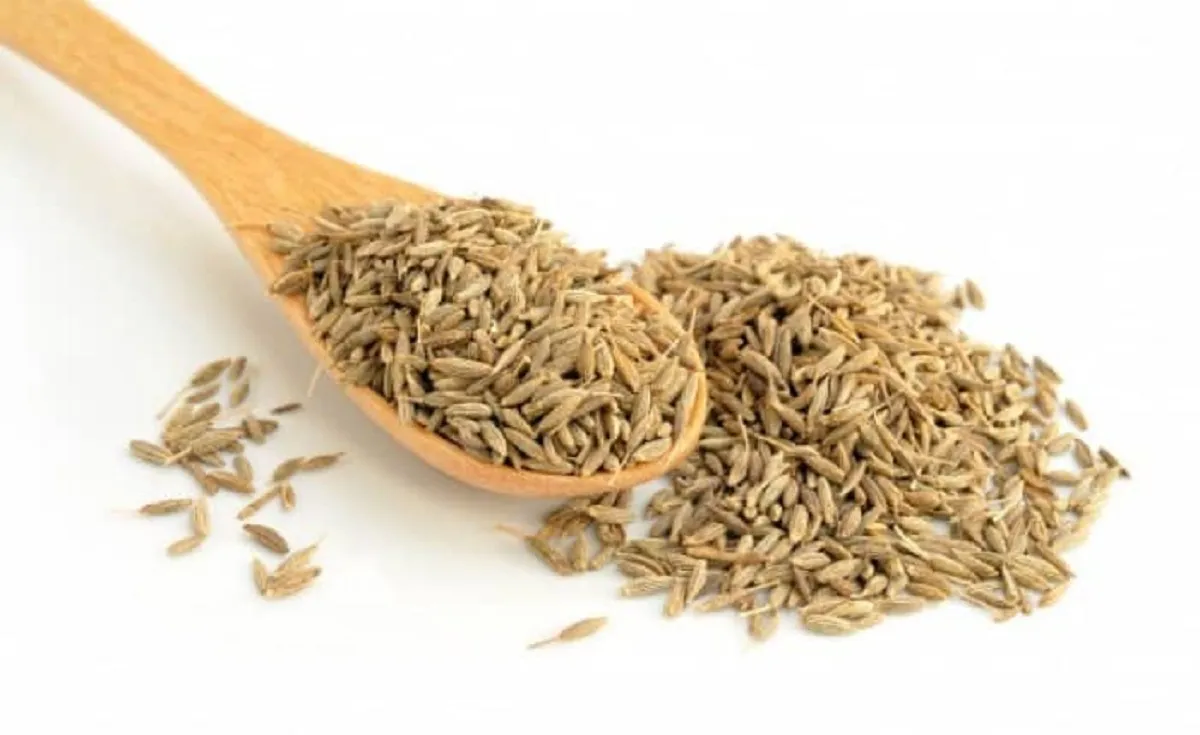 چرا گیاه رازیانه برای سلامت زنان مفید است؟