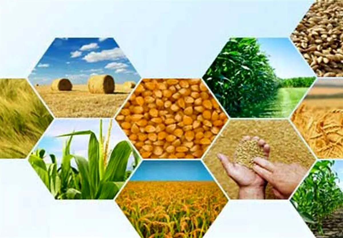 جزییات اجرای طرح کشت فراسرزمینی