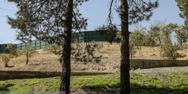 ساخت و ساز در باغات کن ساماندهی می‌شود