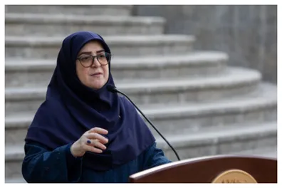 چراغ-سبز-دولت-برای-بازگشت-معین-به-ایران-سخنگوی-دولت-او-هم-شهروند-ایران-است