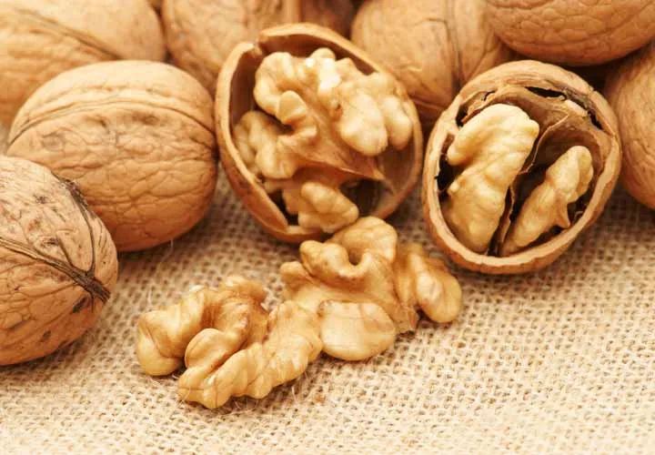کاهش ریسک بیماری قلبی با مصرف گردو
