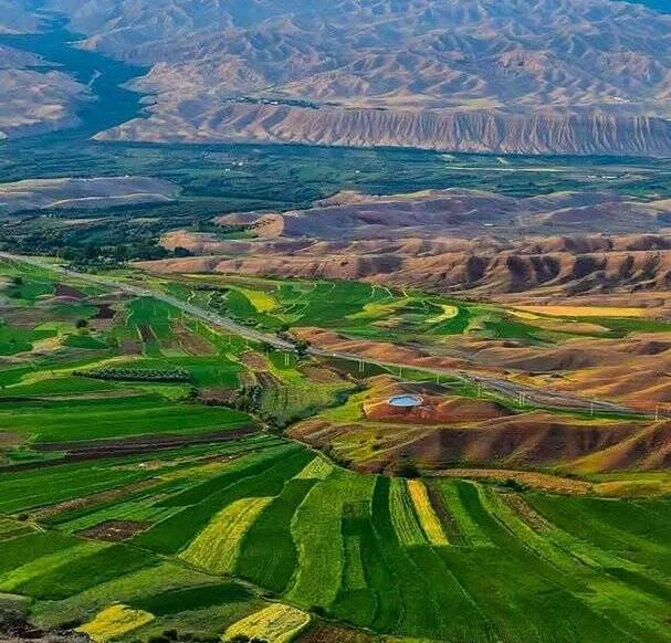 نمایی زیبا از مزارع سرسبز زنجان +عکس