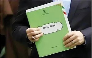 چگونه برخی مجموعه‌ها اعداد و ارقام بودجه را تغییر می‌دهند/ یک نماینده مجلس افشا کرد