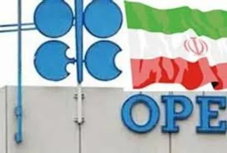 مدیرعامل شرکت نفتی: افزایش تولید، پشتوانه ایران در مذاکرات اوپک بود