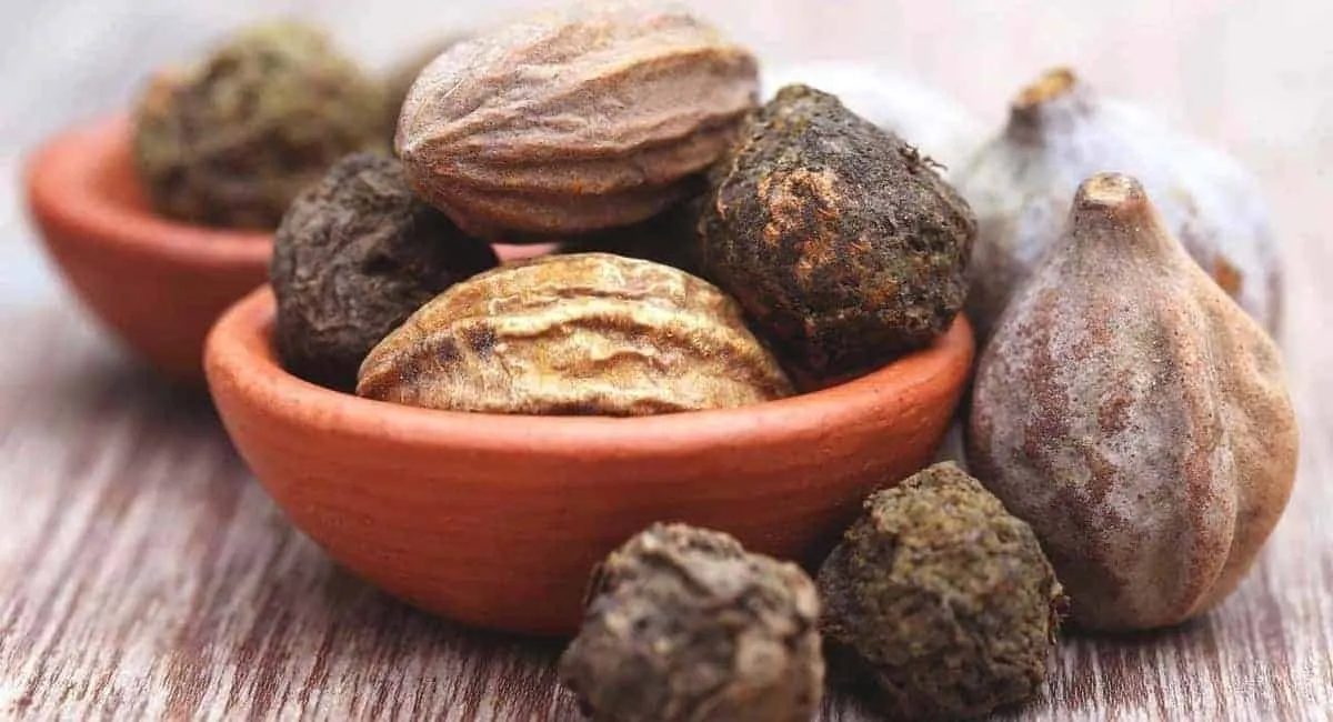 با اکسیر طول عمر آشنا شوید!