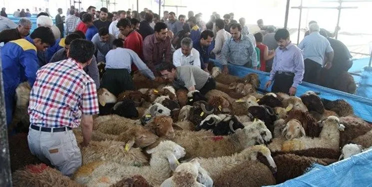 لیست مراکز عرضه دام زنده بهداشتی ویژه عید قربان