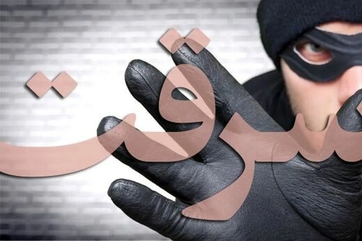 پرتاب شدن سارق فراری از پشت بام!