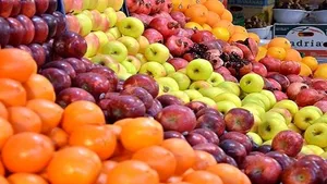 قیمت مرکبات تحت کنترل / ذخیره میوه شب عید مطلوب است