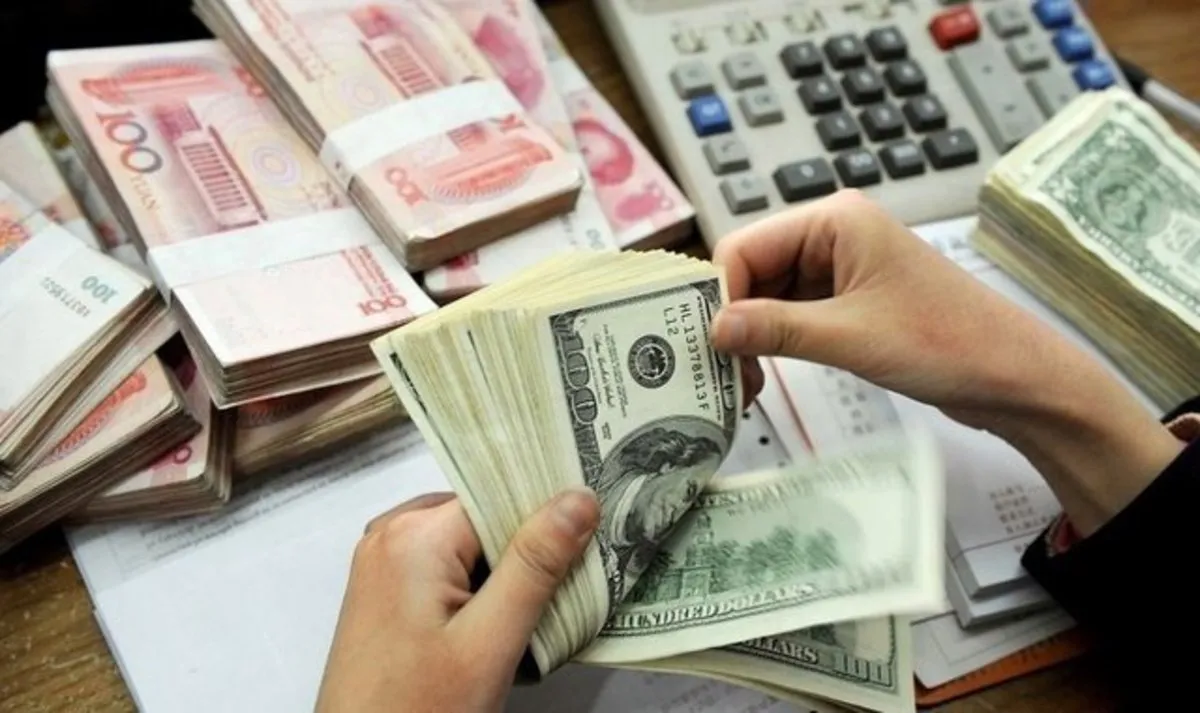 فهرست اخلال‌ گران ارز به سازمان مالیاتی رفت