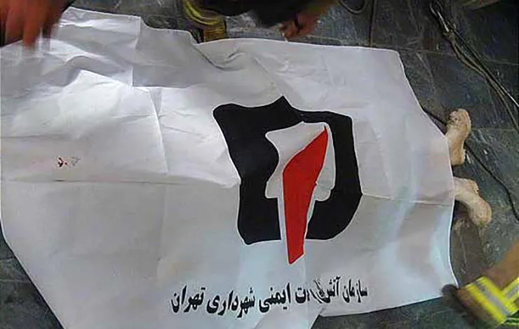 مرد ثروتمند قربانی یک وسوسه شوم شد