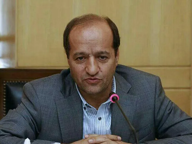ادغام وزارتخانه‌ها فرصت رسیدگی به تعاونی‌ها را نداد