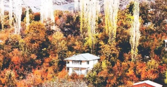 روستاگردی در کنار شهد شیرین زیارت