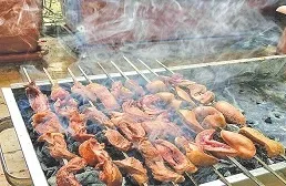 طرح جمع‌آوری جگرکی‌های سیار