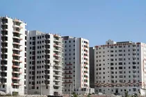 7000-نفر-متقاضی-طرح-جوانی-جمعیت-در-قم-تایید-شدند