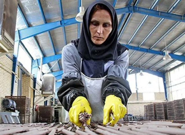 تقلای زنانه در اقتصاد مردانه