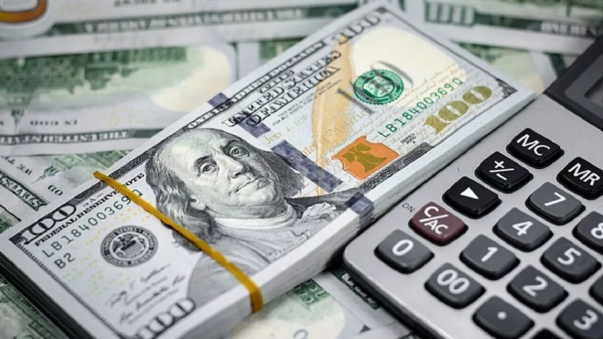 اینفوگرافیک/ بیشترین میزان تخصیص ارز ترجیحی به کدام شرکت‌ها تعلق گرفت؟