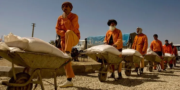 طالبان حقوق کارمندان و کارگران را با گندم می‌ دهد