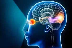 نابینایی و راز انعطاف‌پذیری مغز / از این اتفاق غافلگیر می‌شوید