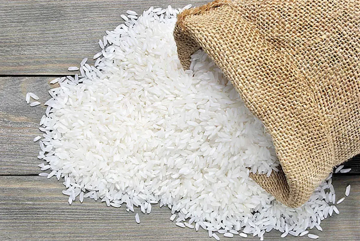 افشای پشت پرده گرانی برنج در بازار/ قیمت جدید برنج اعلام شد