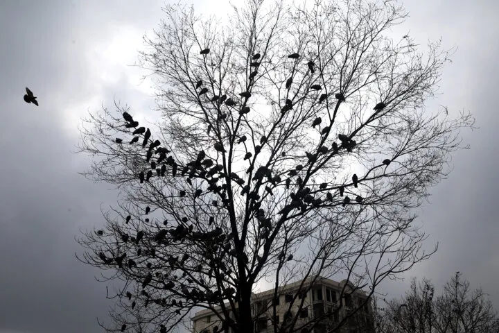 هواشناسی