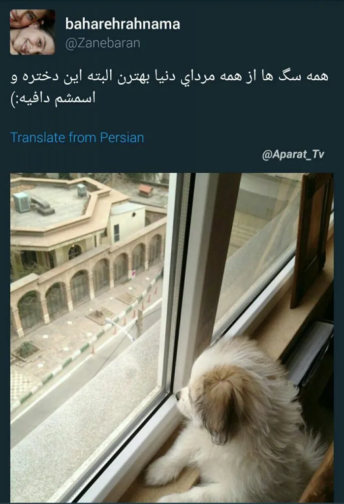 توییت توهین آمیز بهاره رهنما به آقایان