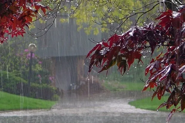 بارندگی در تهران ادامه دارد؟