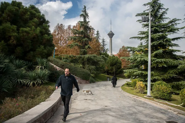 نخستین ماه تابستان هوای تهران خوب بود