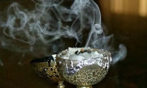 دود اسپند میکروب&zwnj;کش است