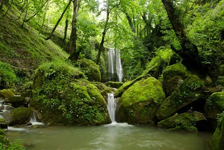 بهشتی در قلب کوهستان سوادکوه + فیلم