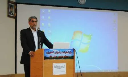 ایران در ردیف کشورهای منطقه در صادرات مرغ و تخم مرغ قرار گرفت