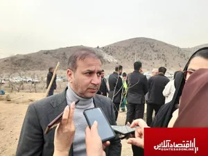 سرانه فضای سبز کلانشهر کرج باید به ۱۵ متر مربع برسد/درختان کرج شناسنامه دار می‌شوند