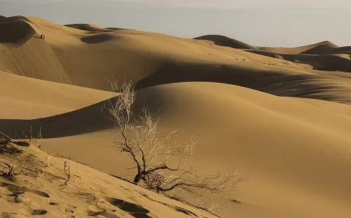 سرنوشت گردشگران گمشده در کویر