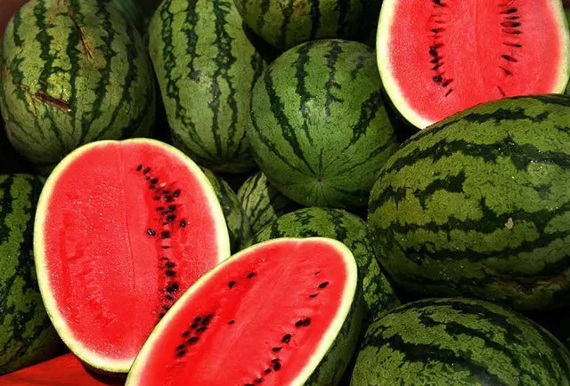 همه چیز درباره خواص هندوانه