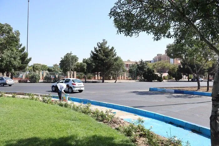 رها شدن سرهای بریده الاغ در خیابان کارگر تبریز + فیلم