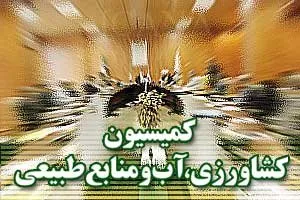 رسیدگی به افزایش قیمت نهاده‌ها در کمیسیون کشاورزی