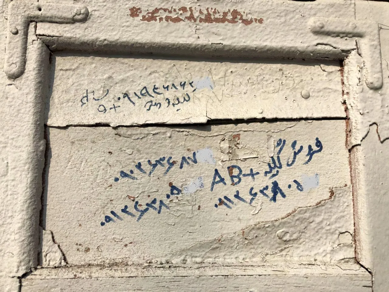 کلیه چند؟!