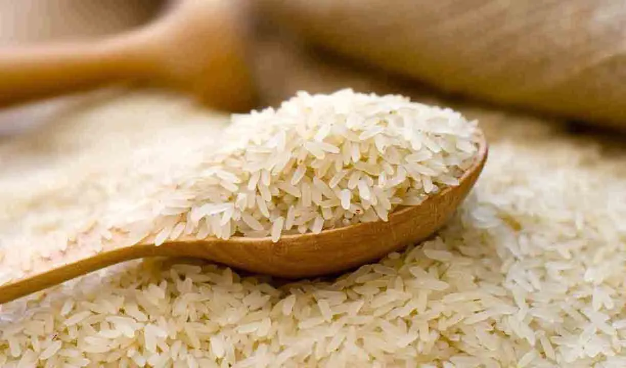 افزایش قیمت برنج شدت گرفت
