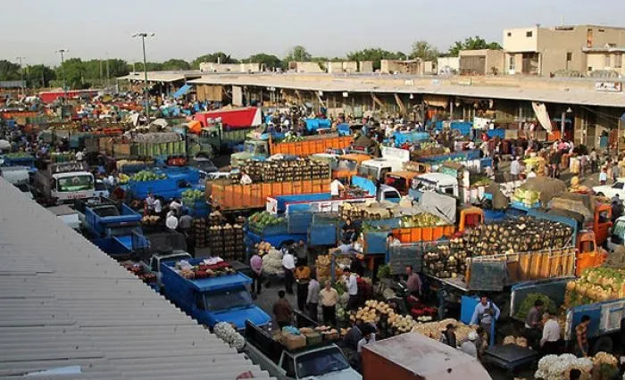 افزایش ۱۷درصدی صادرات میوه
