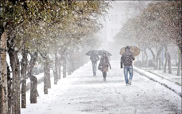 امشب خیابان‌های تهران یخ می زند