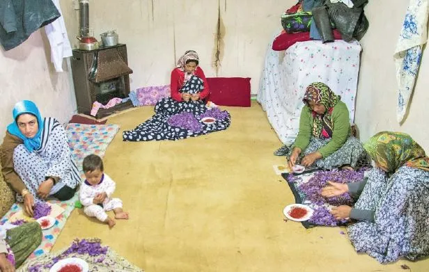 موانع اشتغال‌زایی برای زنان روستایی