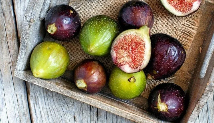 از خواص روغن انجیر خبر دارید؟