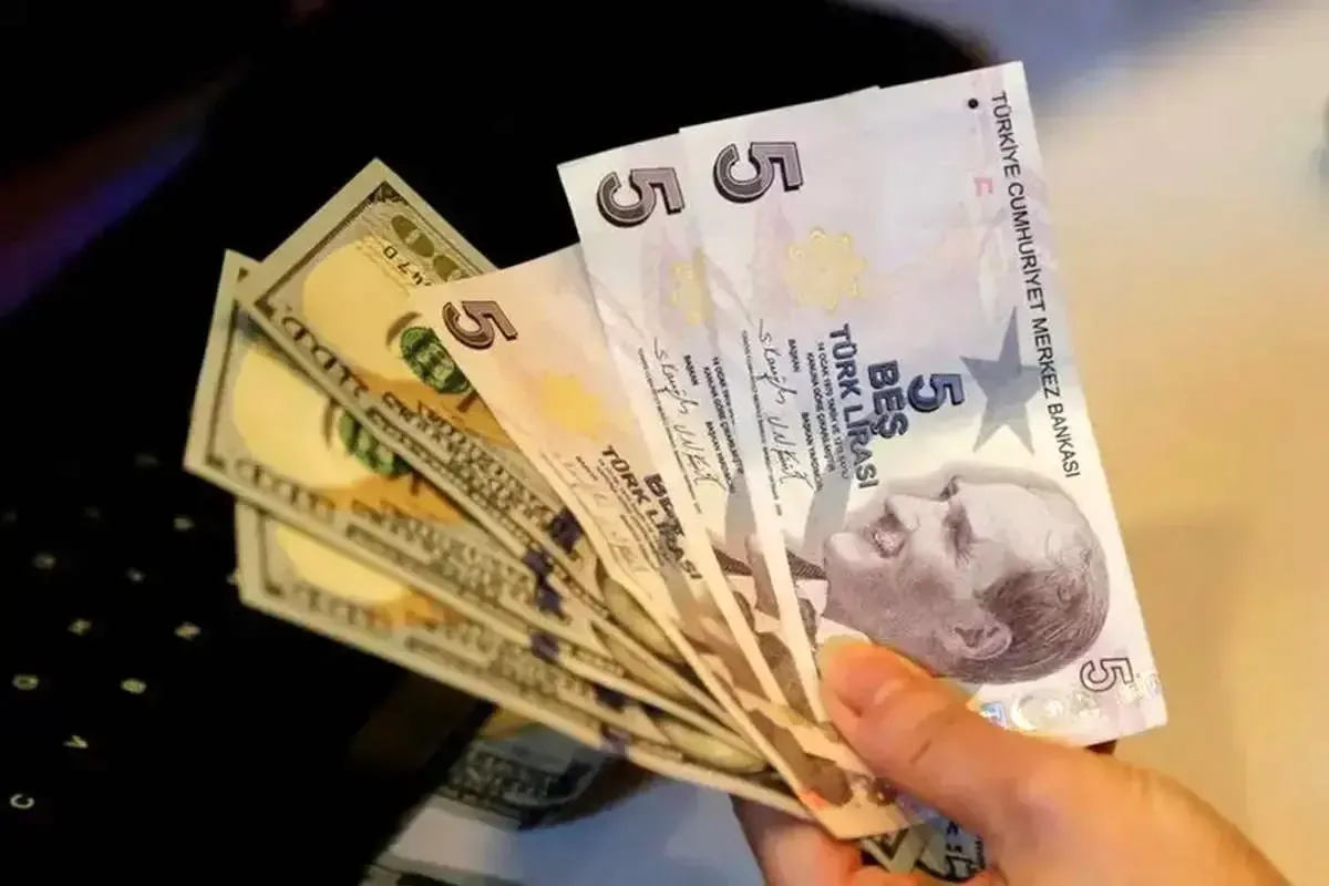 قیمت لیر ترکیه امروز یکشنبه ۲۴ خرداد ۱۴۰۵ / لیر ترکیه ارزان شد