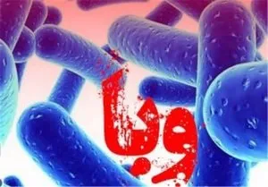 چگونه وبا را درمان کنیم؟
