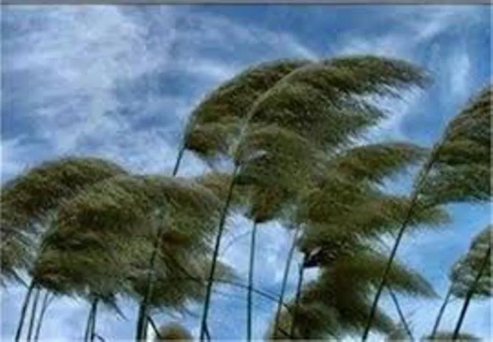 هواشناسی هشدار داد: وزش 